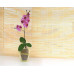 Горшок для орхидеи стекло «№4 алебастр желтый»