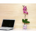 Кашпо пластиковое с поддоном «Для орхидей 0,7л» м3125 