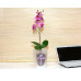 Горшок для цветов пластиковый с поддоном Для Орхидей 3,5л (прозр)-1 с под м1606Ж             