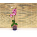 Горшок из стекла цветочный  «№3 алебастр  крашеный розово-фиолет.»
