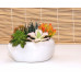 Кашпо для цветов керамическое  «Бонсай рапан» белое