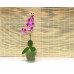 Горшок для орхидей стеклянный  «№3 алебастр  зеленый»