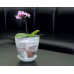Горшок для орхидей стеклянный  «№2 алебастр  белый»