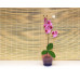 Горшок из стекла цветочный  «№3 алебастр  крашеный розово-фиолет.»